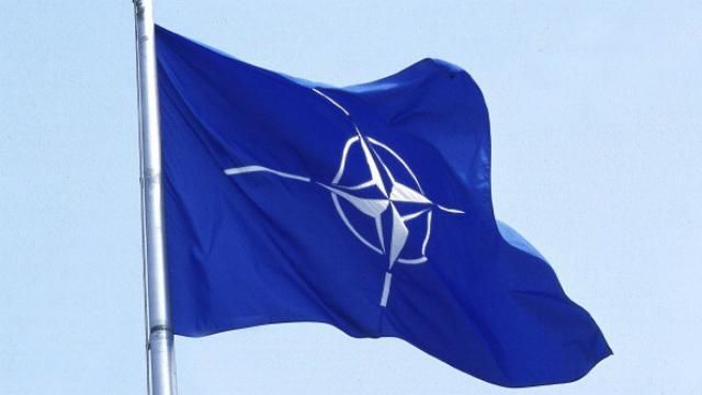 У Гройсмана розповіли, коли і якої допомоги з кібербезпеки чекають від НАТО У Гройсмана розповіли, коли і якої допомоги з кібербезпеки чекають від НАТО