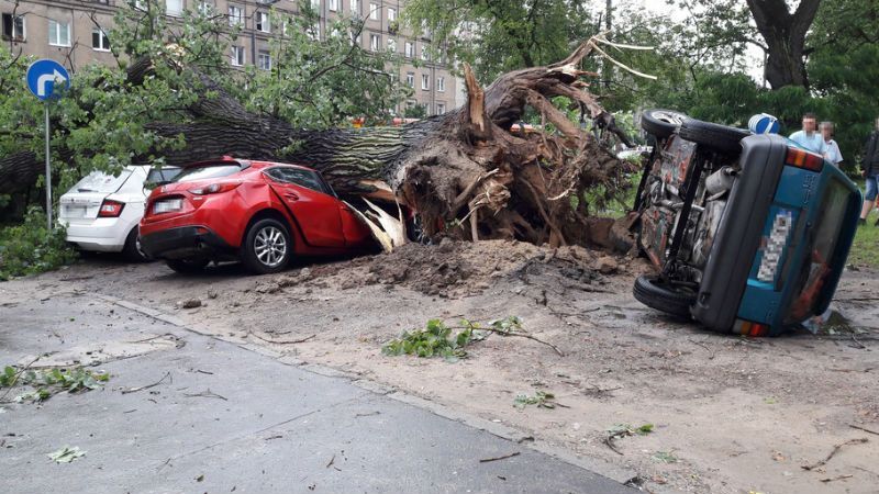 Польша пострадала от ураганов и штормов: фото