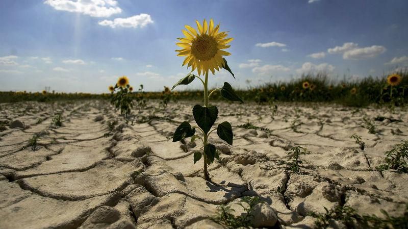 У Криму – катастрофічна ситуація з водою, Путін готує Україні ультиматум, – оглядач У Криму – катастрофічна ситуація з водою, Путін готує Україні ультиматум, – оглядач