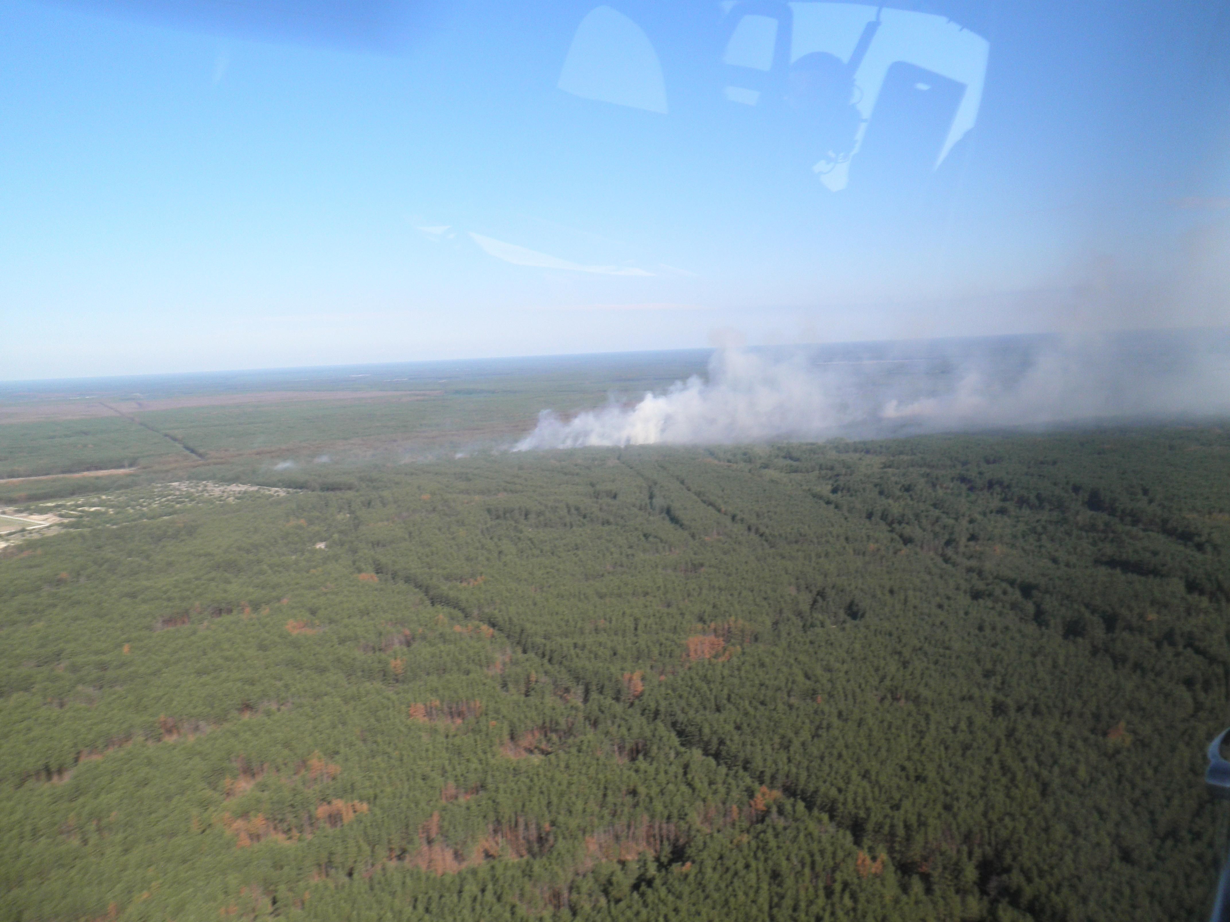 Пожар в Чернобыльской зоне отчуждения локализовали Пожар в Чернобыльской зоне отчуждения локализовали