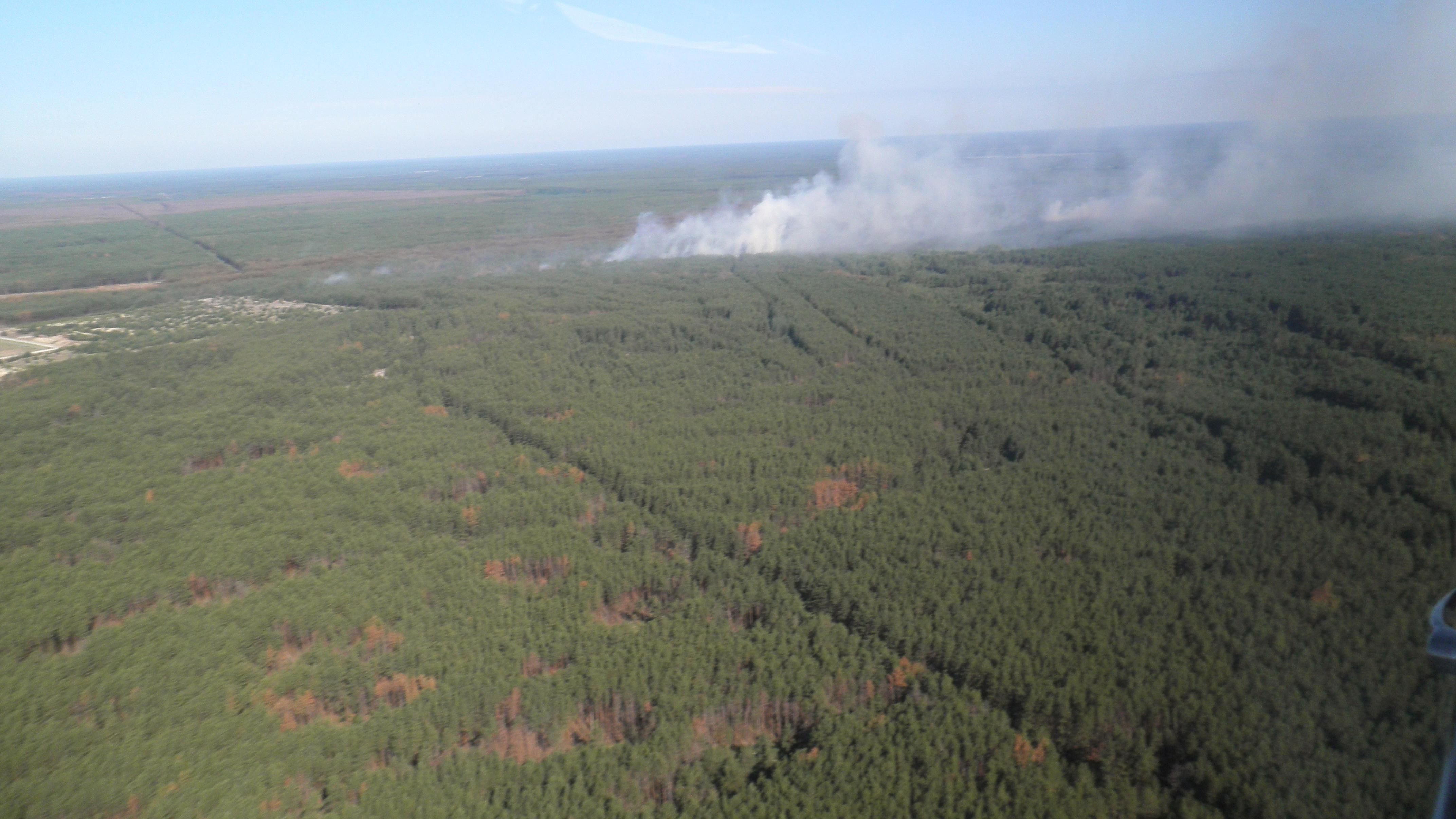 Пожежу у Чорнобильській зоні остаточно ліквідовано  