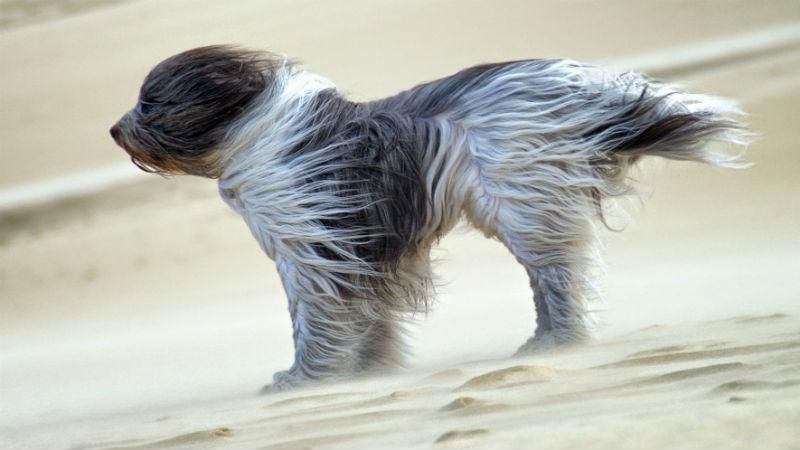 На Київ насувається шторм - 3 липня 2017 - Телеканал новин 24 На Київ насувається шторм - 3 липня 2017 - Телеканал новин 24