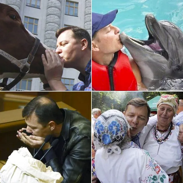 День поцілунків: Ляшко цілує корову День поцілунків: Ляшко цілує корову