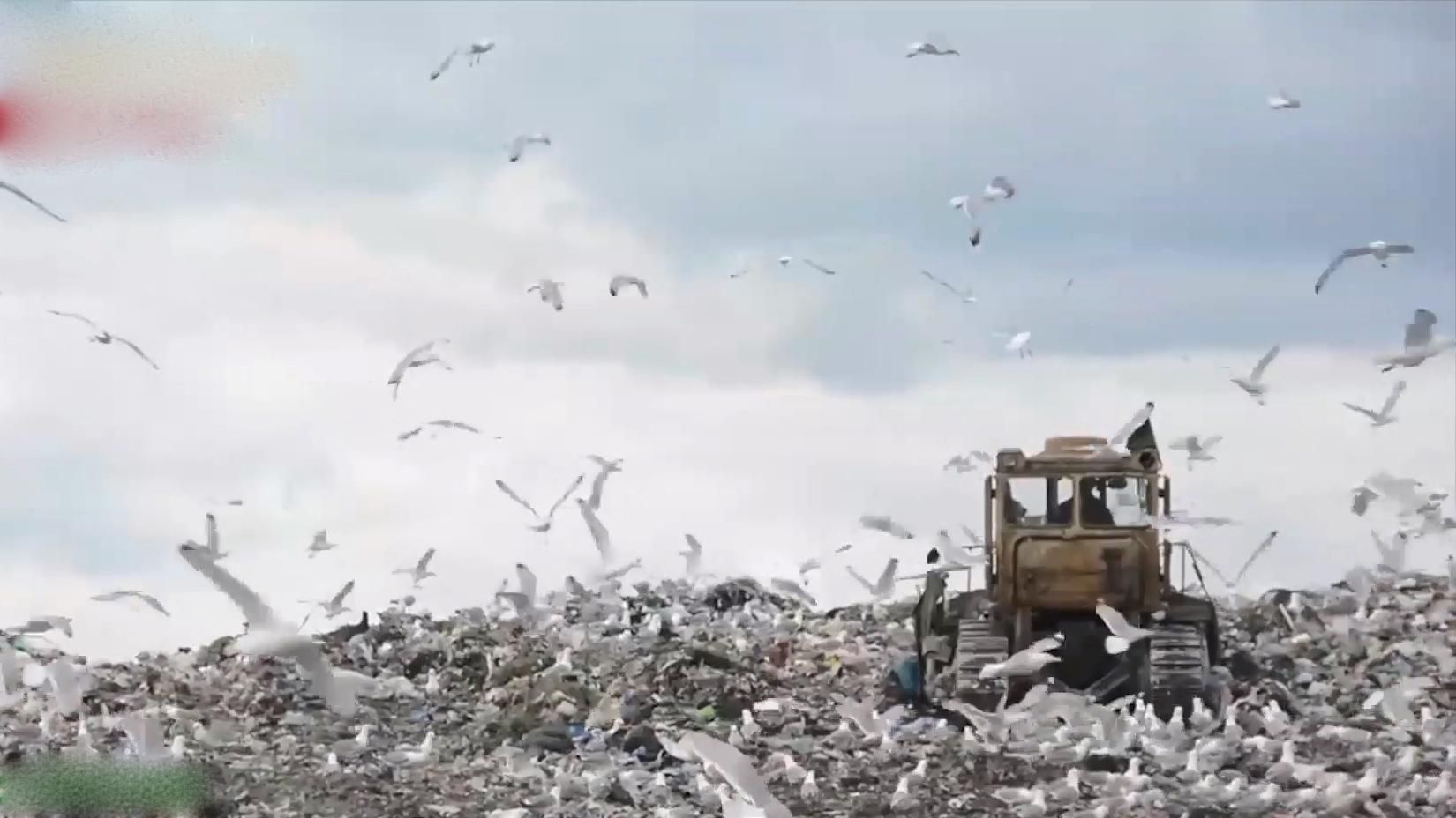 Топ-5 міфів про сміття і чому проблема в Україні не вирішується