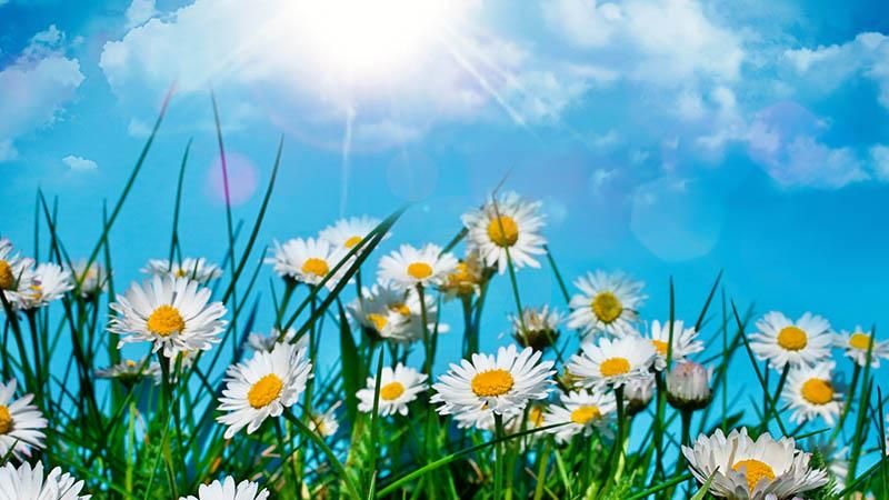 Якою буде погода в липні: прогноз синоптиків Якою буде погода в липні: прогноз синоптиків