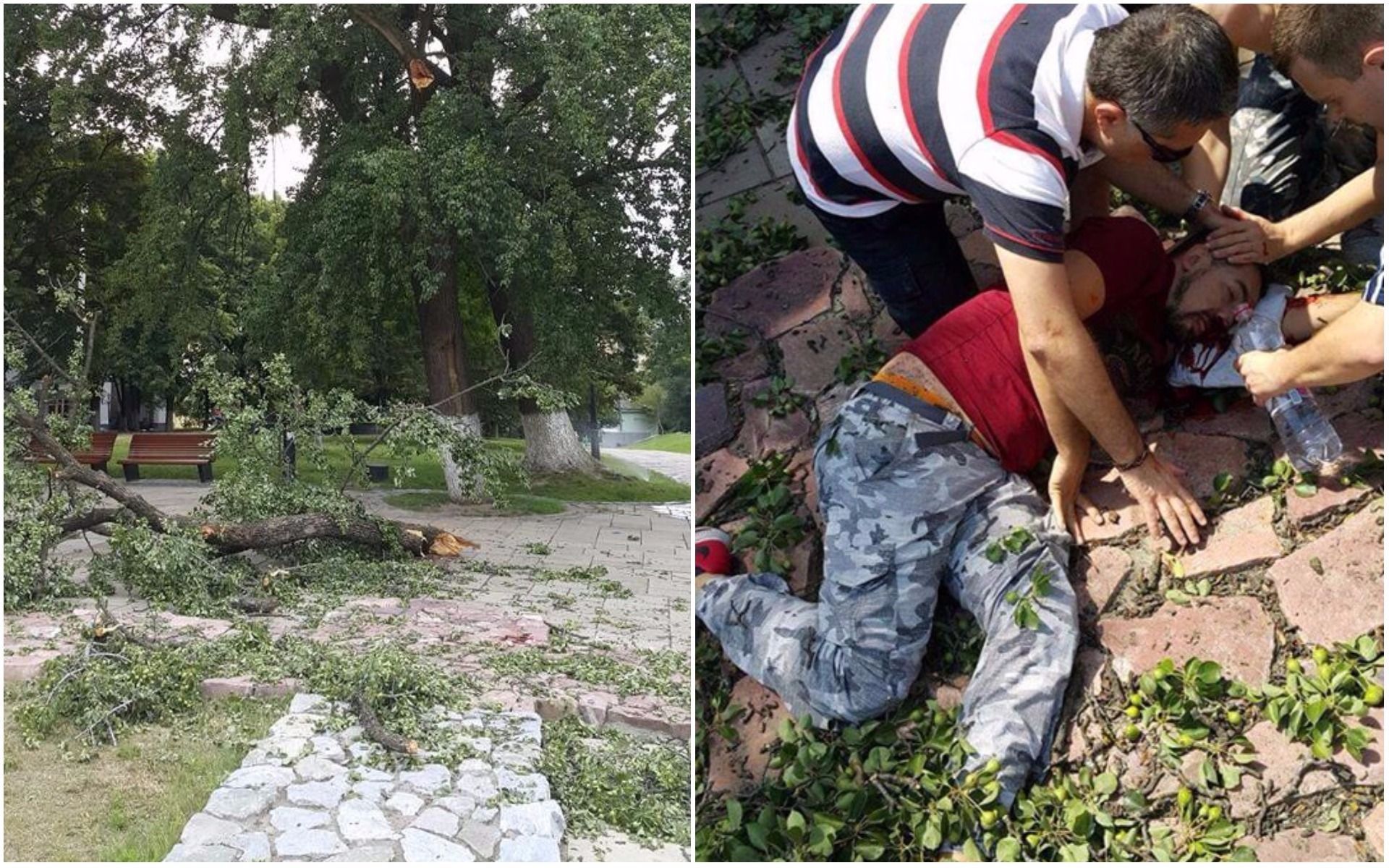 В центрі Києва на перехожих впало дерево: один чоловік опинився в реанімації 