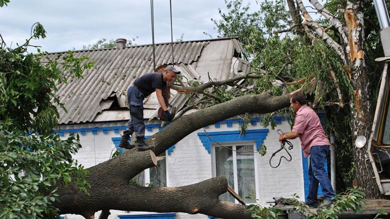 Восточная Украина оправляется от погодного катаклизма