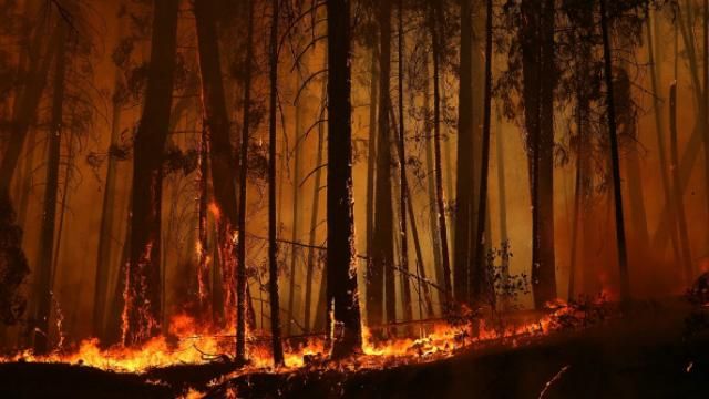 Рятувальники попереджають про підвищену пожежну небезпеку по всій Україні Рятувальники попереджають про підвищену пожежну небезпеку по всій Україні