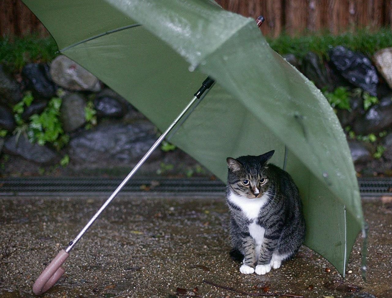 Синоптики объявили штормовое предупреждение в нескольких областях Синоптики объявили штормовое предупреждение в нескольких областях