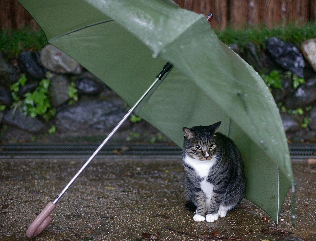 Синоптики объявили штормовое предупреждение в нескольких областях