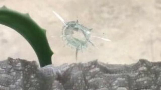 Невідомі обстріляли помешкання прокурорів, що займаються справою екс-податківців: з'явились фото Невідомі обстріляли помешкання прокурорів, що займаються справою екс-податківців: з'явились фото