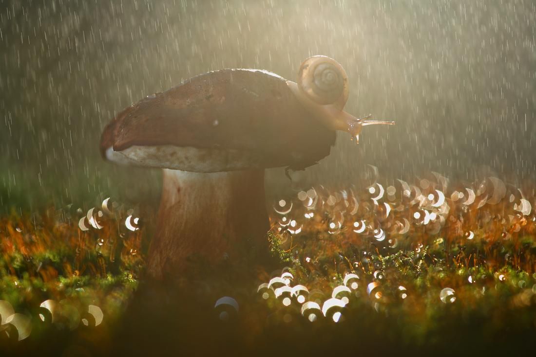 Погода 7 липня в Україні холодно та дощі Погода 7 липня в Україні холодно та дощі