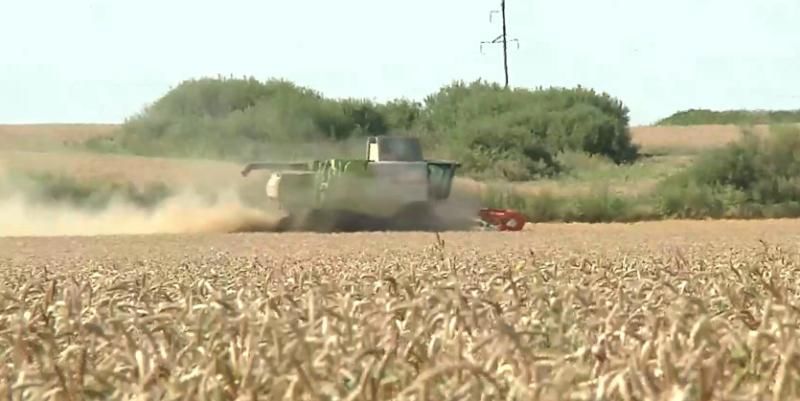 Апокаліптична олігархізація чи економічний прорив: різні сценарії земельної реформи
Апокаліптична олігархізація чи економічний прорив: різні сценарії земельної реформи