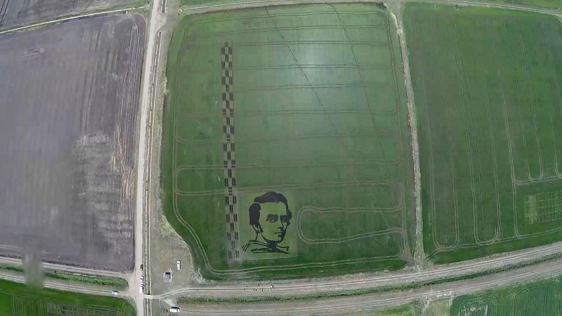 На Херсонщині науковці виростили портрет Кобзаря, який видно з космосу На Херсонщині науковці виростили портрет Кобзаря, який видно з космосу