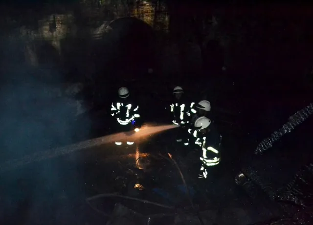 Пожежа, Одеса, ДСНС, Дюківський парк Пожежа, Одеса, ДСНС, Дюківський парк