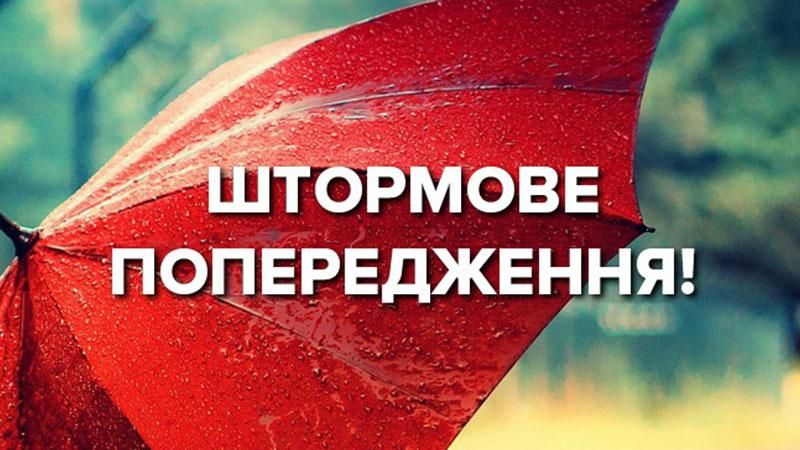 Погіршення погоди: до кінця доби у Києві оголосили штормове попередження 