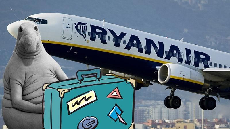 Хрест на Європі, Ryanair до побачення і набожні депутати: головне за тиждень