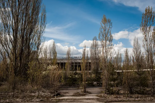 Місто Прип'ять, 2016 рік Місто Прип'ять, 2016 рік