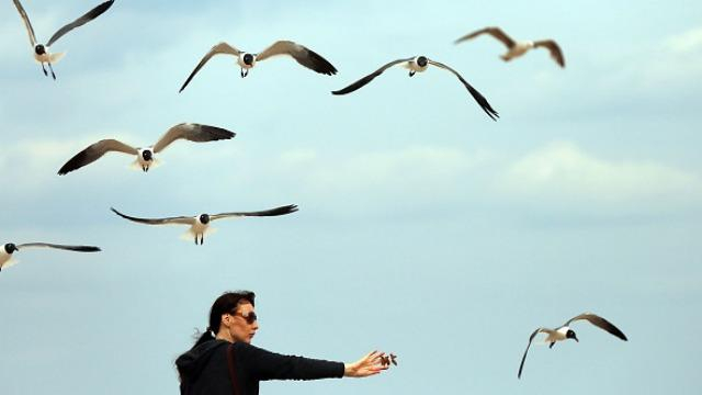 Погода 18 июля в Украине дожди