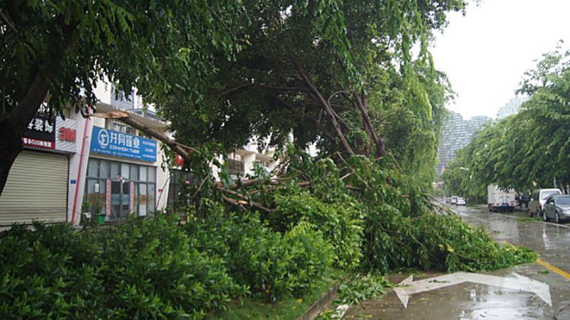 Мощные наводнения и пожары бушуют в различных частях мира Мощные наводнения и пожары бушуют в различных частях мира