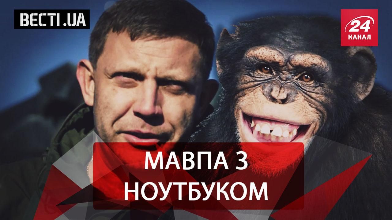 Вєсті.UA. Що спільного у Захарченка і мавпи з ноутбуком. Врятувати рядового Дейдея