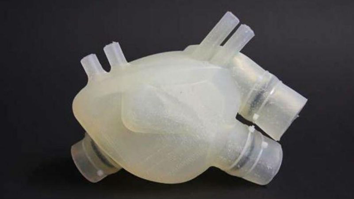 Швейцарські вчені роздрукували унікальне 3D-серце, що відтворює функції органу Швейцарські вчені роздрукували унікальне 3D-серце, що відтворює функції органу
