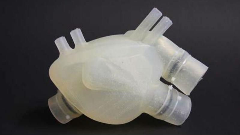 Швейцарські вчені роздрукували унікальне 3D-серце, що відтворює функції органу