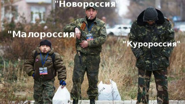 "Розмір – не головне": у мережі немилосердно тролять новостворену "Малоросію" "Розмір – не головне": у мережі немилосердно тролять новостворену "Малоросію"