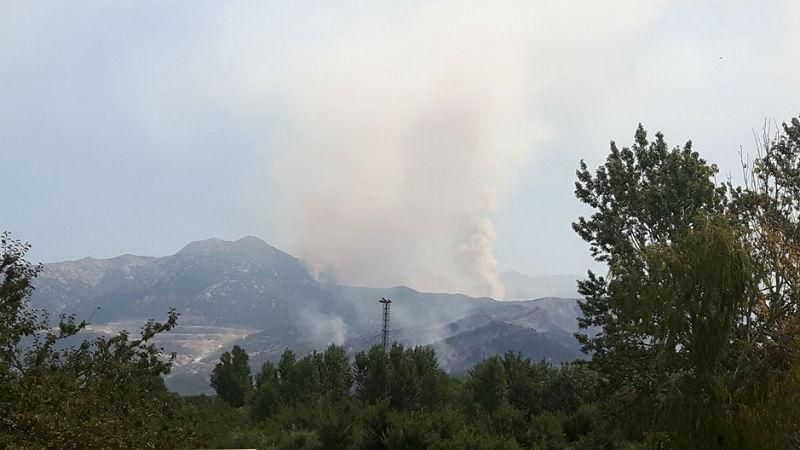 Лесные пожары в Хорватии добрались до курортных городков: появилось видео