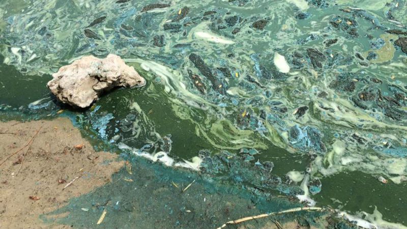 Озеро Сонячне у столиці змінило колір на зелено-блакитний Озеро Сонячне у столиці змінило колір на зелено-блакитний