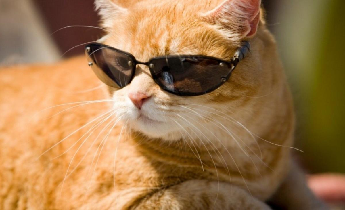 Погода на 19-07-2017 в Украине теплеет: прогноз от синоптиков