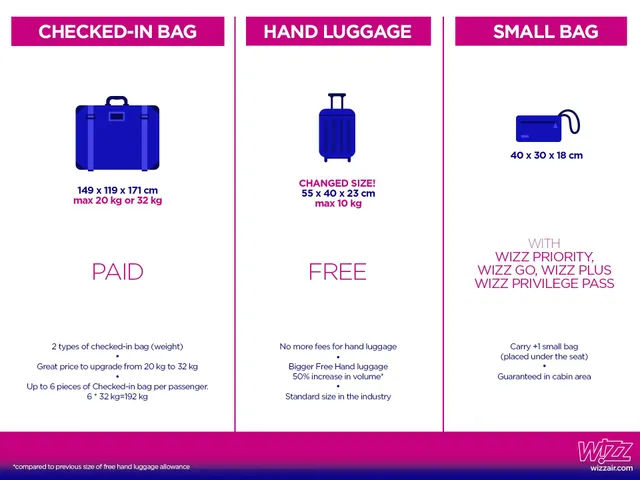 Wizz Air, ціни, багаж 