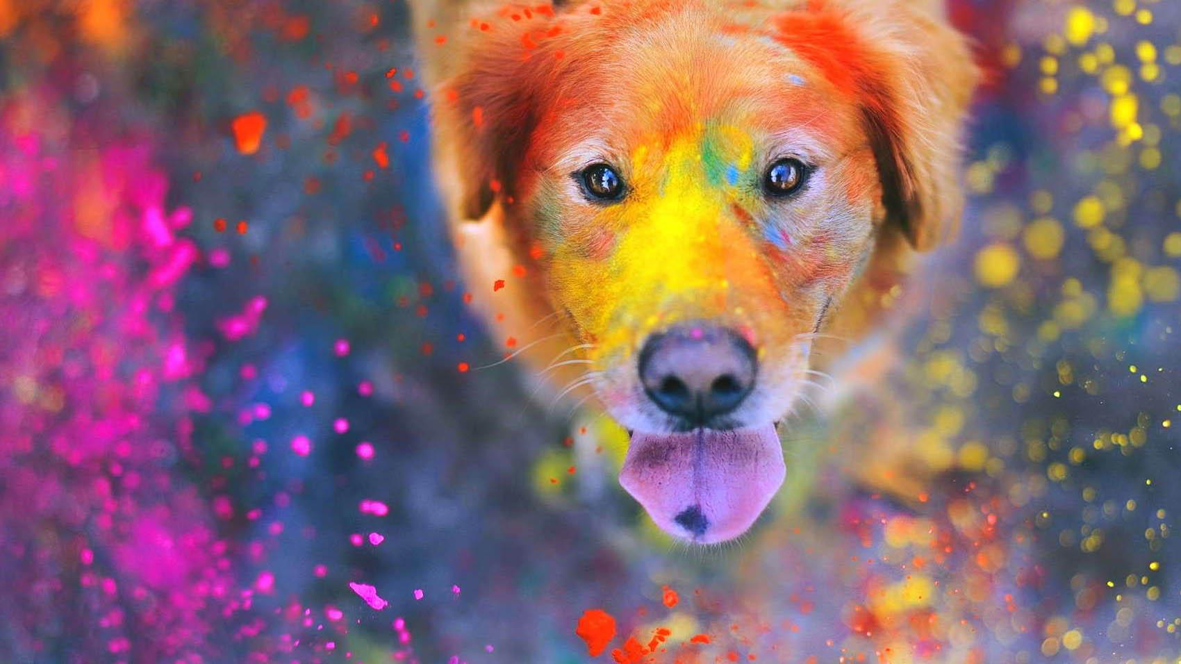 Прогноз погоды 20 июля в Украине безумная жара