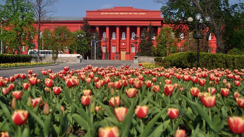 Поступление-2017: список самых популярных вузов среди абитуриентов Поступление-2017: список самых популярных вузов среди абитуриентов