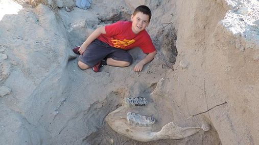 Мальчик нашел остатки древнего животного