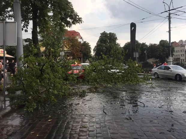 У Львові вітер звалив дерева