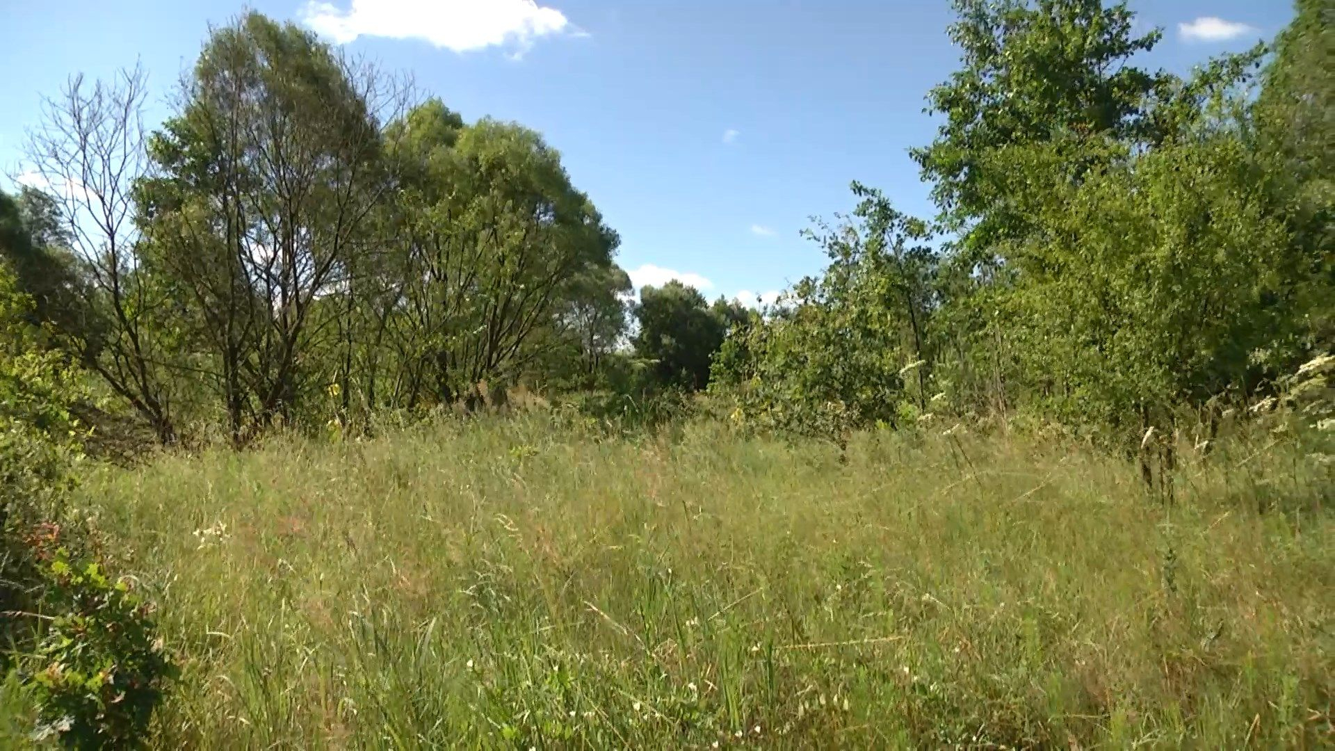 Как председатель общества охотников и рыболовов приватизировал часть охотничьих угодий на Львовщине