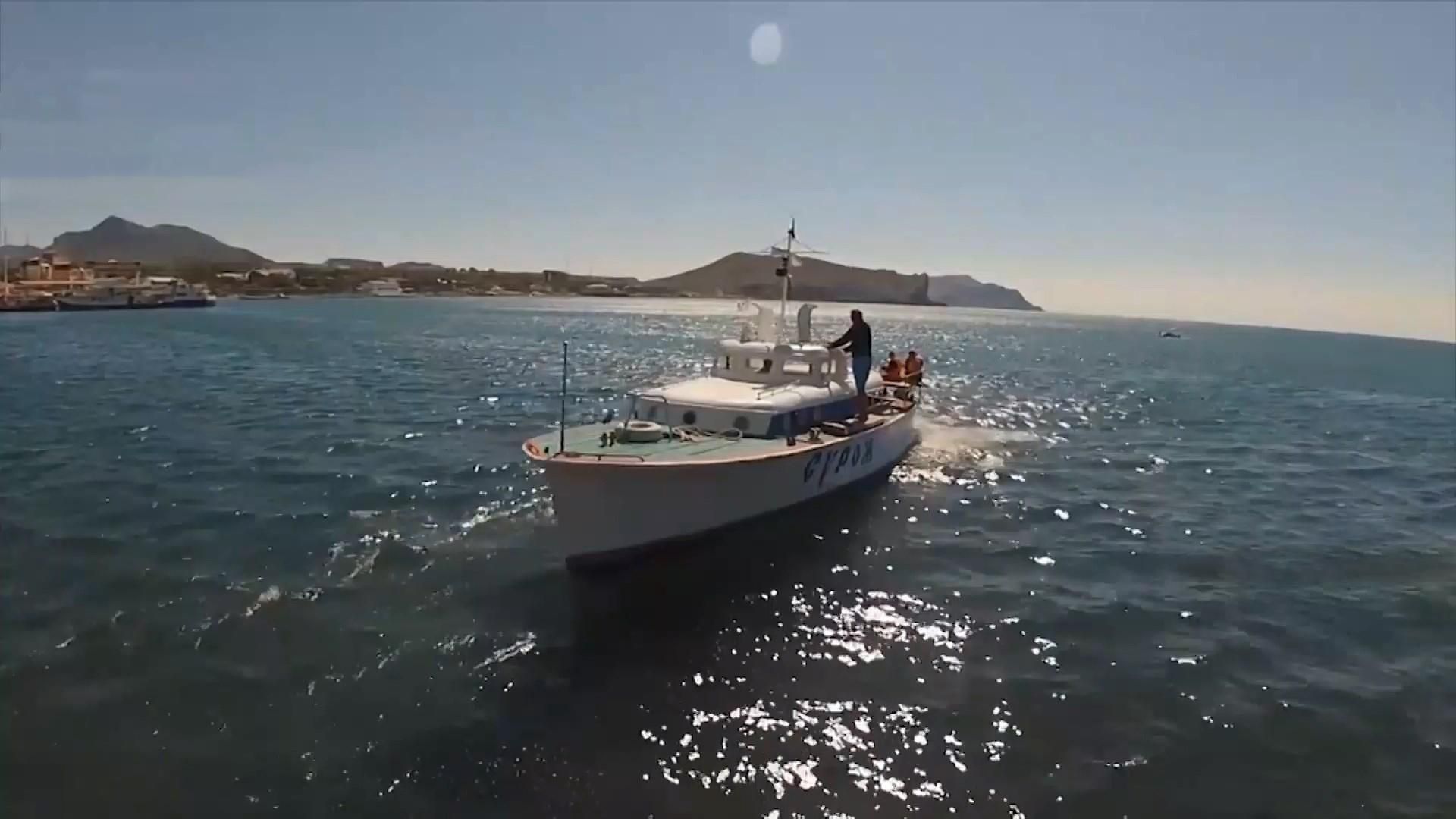 Чи справді туристи масово їдуть у Крим Чи справді туристи масово їдуть у Крим