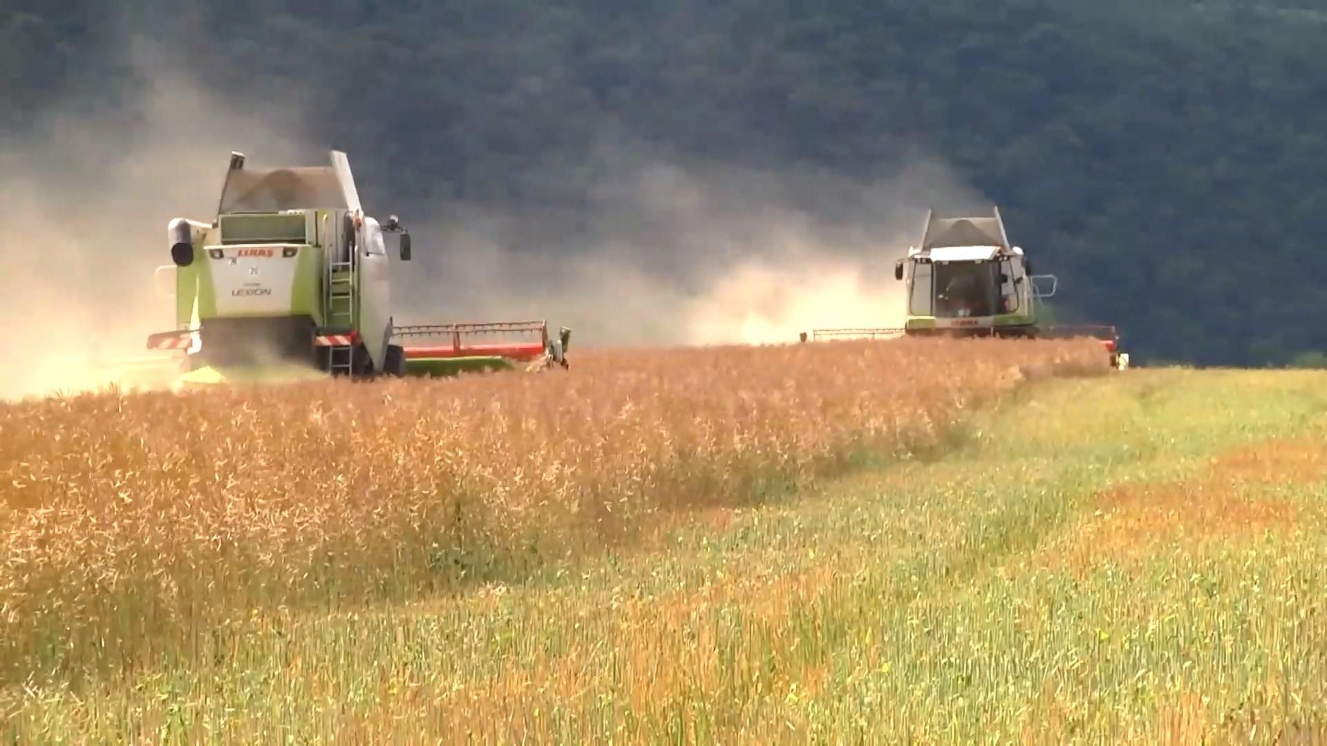 Чому ринку землі найближчим часом в Україні не буде