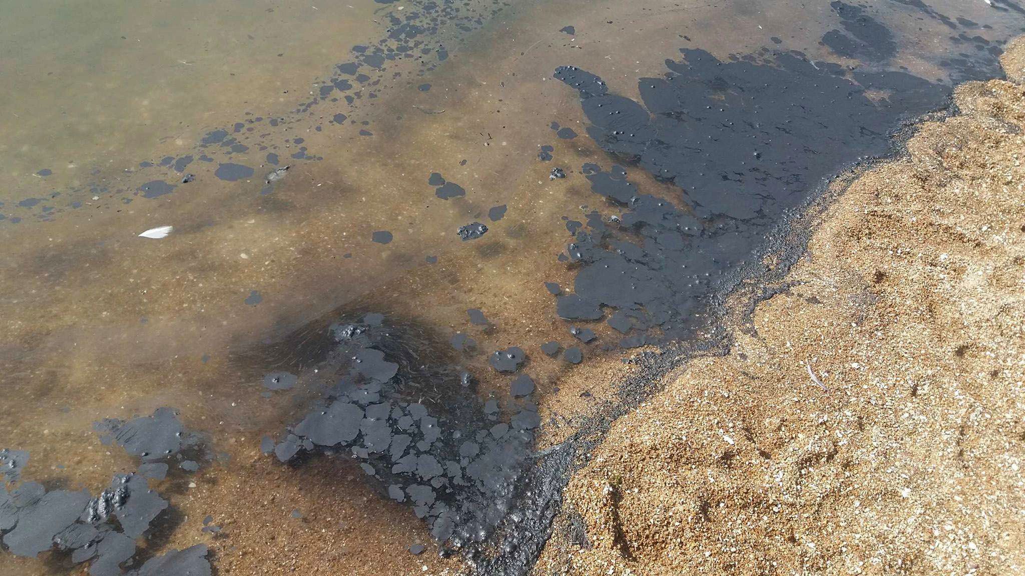 Море біля Маріуполя вкрилось чорними плямами: фотофакт