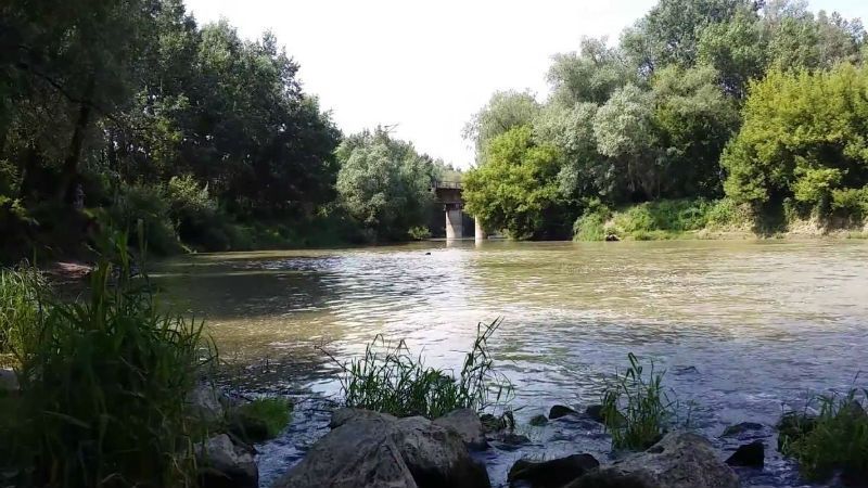 Серьезный ливень на Закарпатье: уровень воды в реках резко поднимается