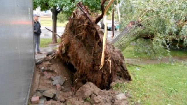 Сильні урагани сколихнули частину Польщі: дерева виривало з корінням