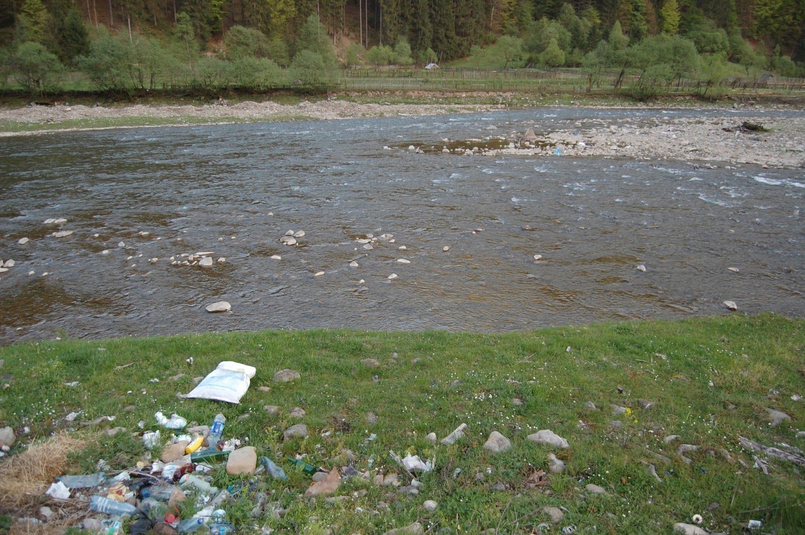 Депутаты инициируют огромные штрафы за выброшенный в неположенном месте мусор Депутаты инициируют огромные штрафы за выброшенный в неположенном месте мусор