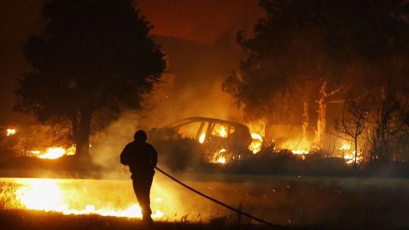 Масштабні лісові пожежі дісталися Франції: з'явилися фото