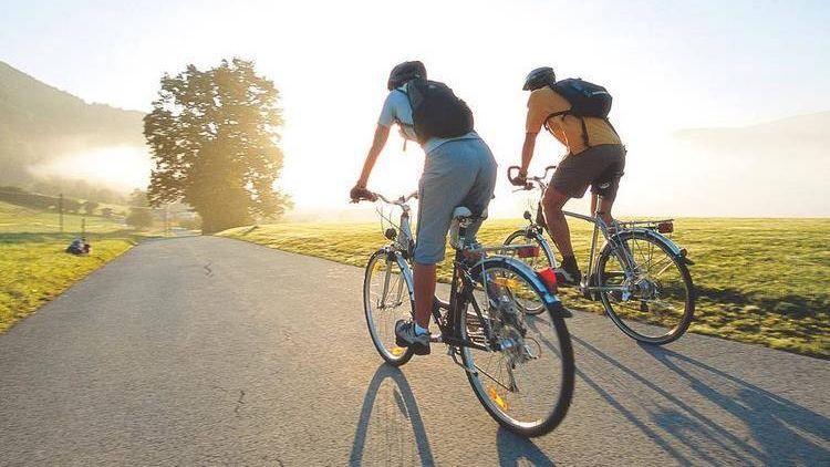 Почему надо попробовать веломаршруты в Польше Почему надо попробовать веломаршруты в Польше