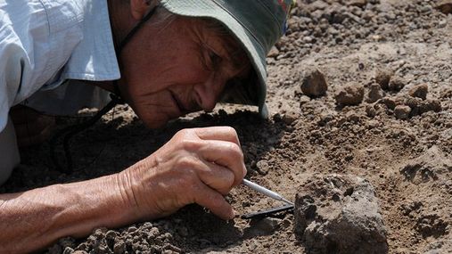 Палеонтологи нашли окаменелости животного, которому 250 миллионов лет