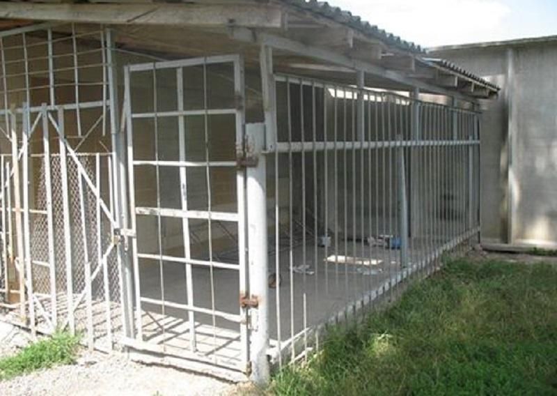В інтернаті на Черкащині літніх людей тримають в клітці: з’явилися фото В інтернаті на Черкащині літніх людей тримають в клітці: з’явилися фото