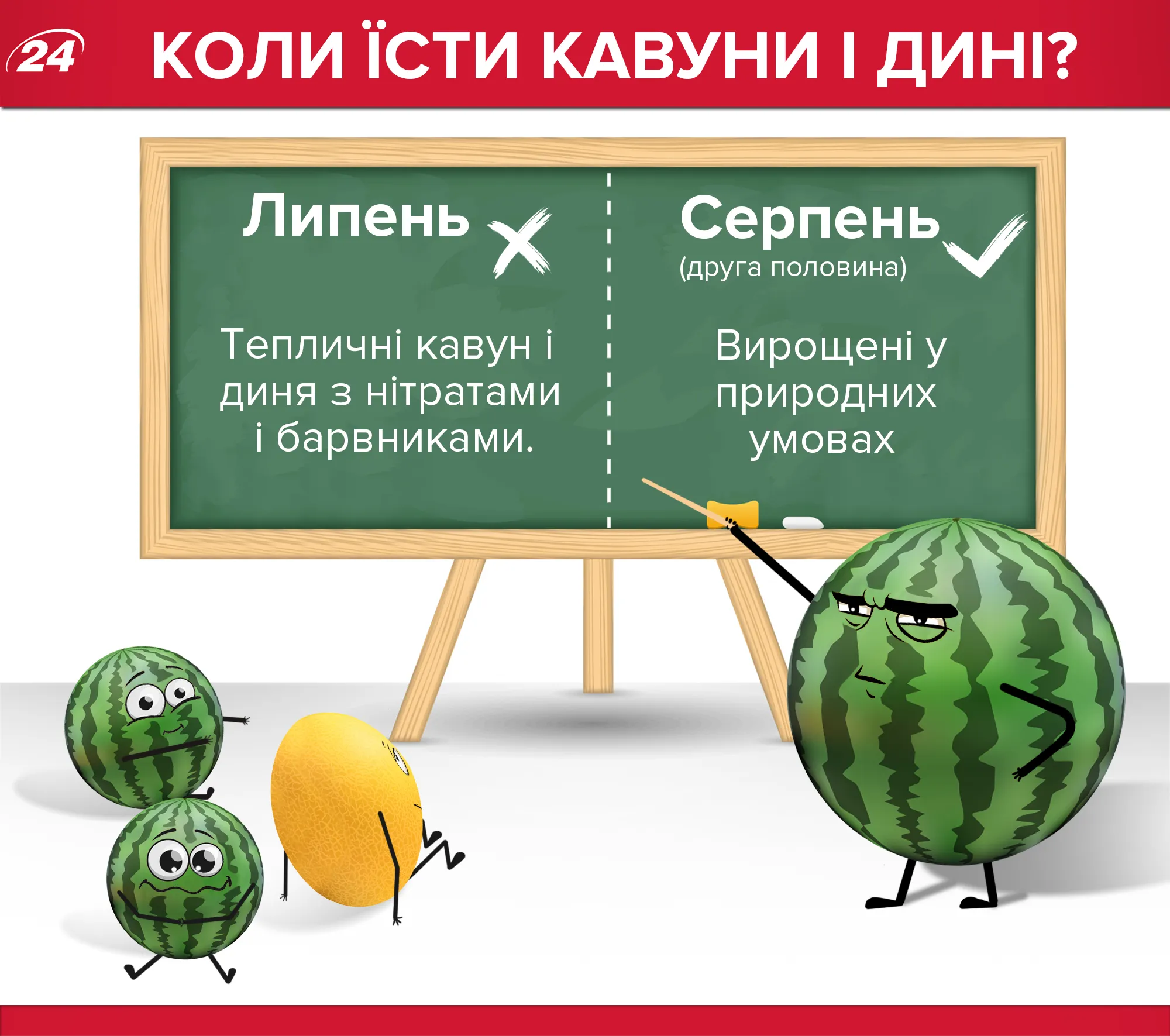 Когда можно есть арбуз и дыню?