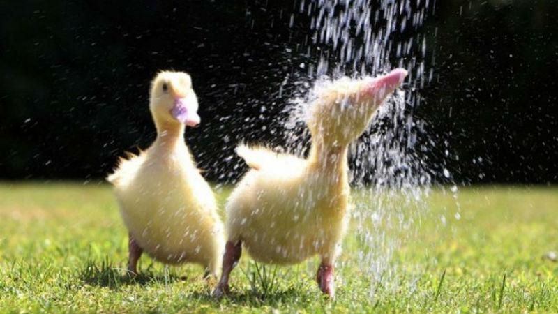 Погода 31-07-2017 Україна: прогноз погоди сьогодні та завтра Погода 31-07-2017 Україна: прогноз погоди сьогодні та завтра