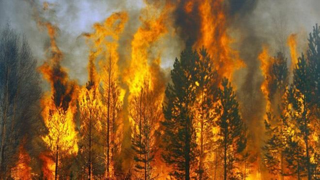 Пожарная опасность грозит 10 областям Украины, – ГСЧС